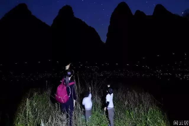 球球大作战下载最新版