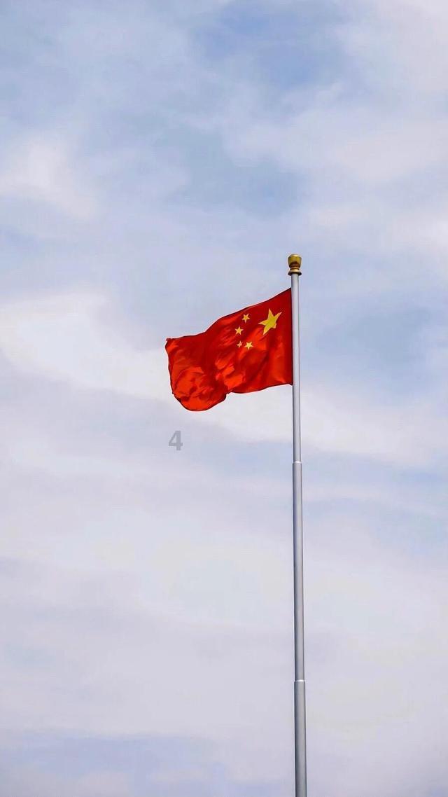 88影视
