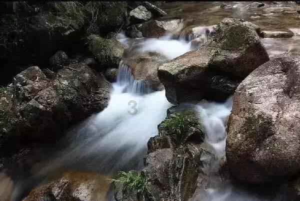 草莓 视频在线下载