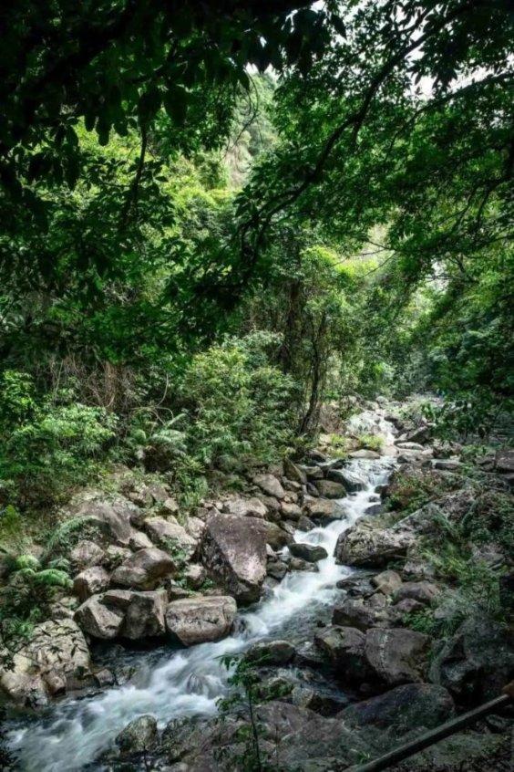 脑洞小老弟无实名认证